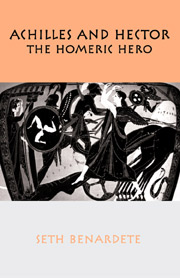 Homeric Hero